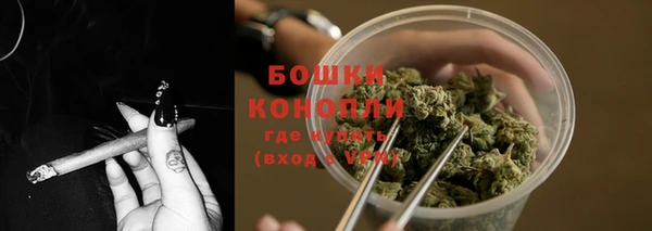 эйфоретик Коряжма
