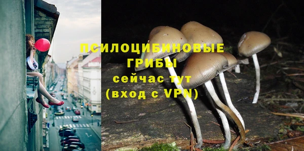 спиды Костерёво